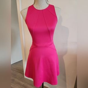 Ted Baker "Mitton" Skater Dress